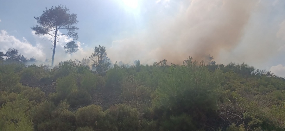 Akhisar’da orman yangını, uçak ve helikopterler müdahale ediyor