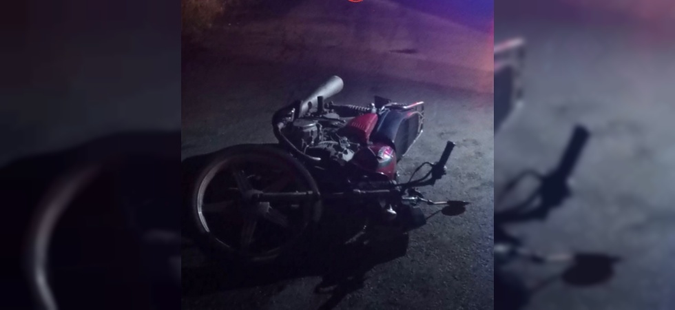 Manisa’da motosiklet yaban domuzuna çarptı: 1 yaralı