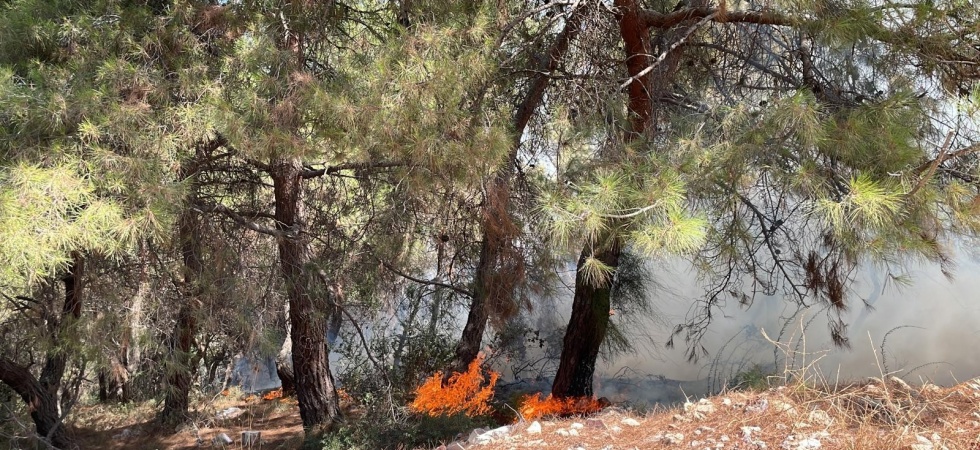 Manisa’da 2 ayrı noktada ormanlık alanda yangın başladı