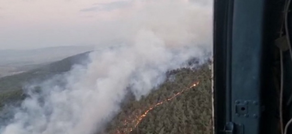 Manisa’da ormanlık alanda yangın