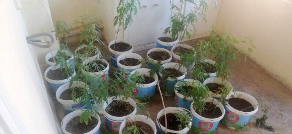 Manisa’da uyuşturucu operasyonu: 1 kişi tutuklandı