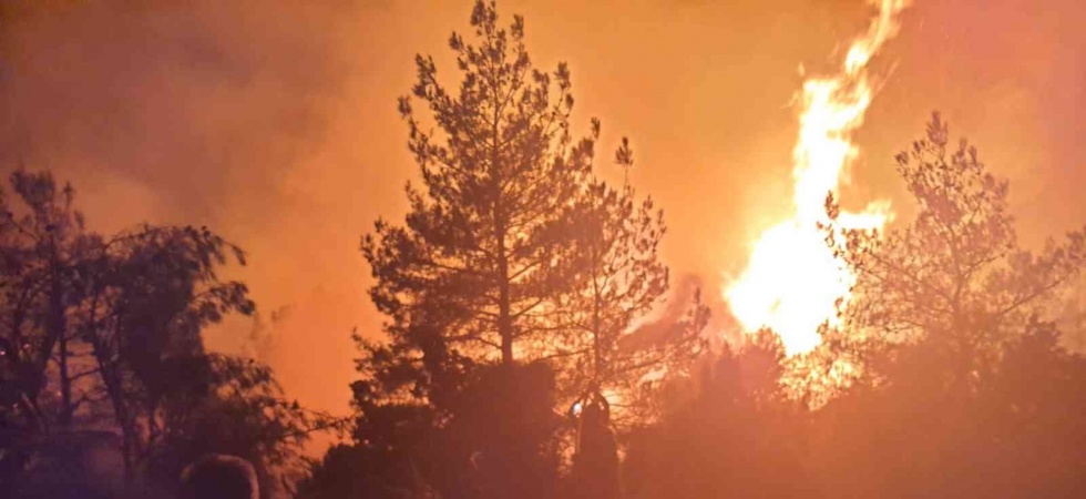Soma’daki orman yangınında 50 hektarlık alan zarar gördü