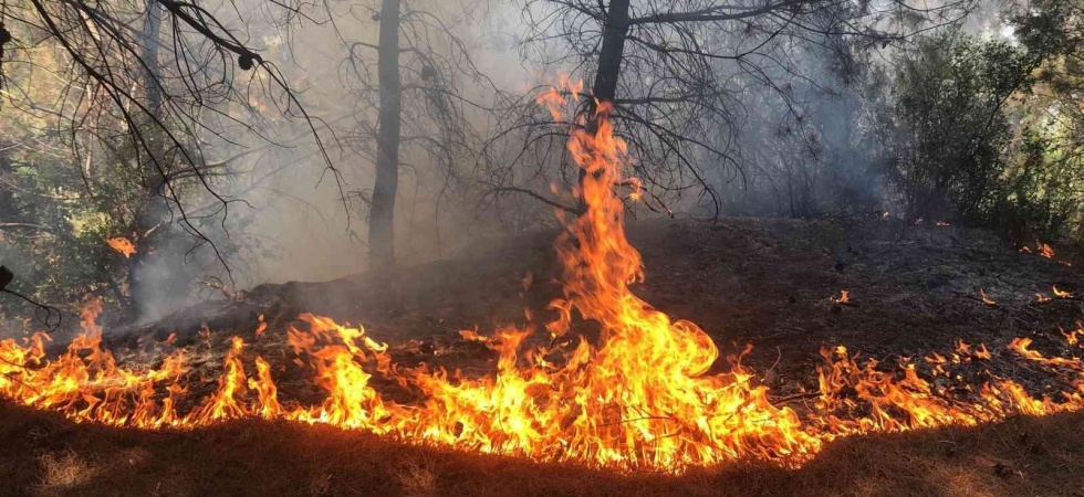 Spil Dağı’ndaki orman yangını hızlı müdahaleyle söndürüldü
