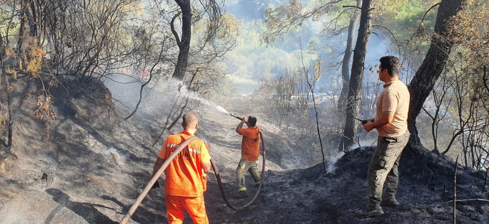 Salihli’de çıkan orman yangını kontrol altına alındı