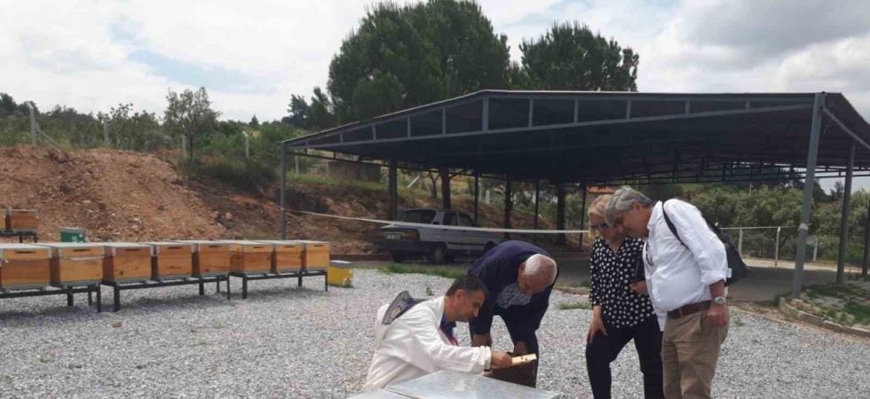 Ana Arı Üretim Merkezinde üretilen arılar teslime hazır