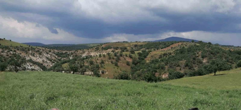 Çiftçiler, büyükşehirin projesinden yüksek verim aldı