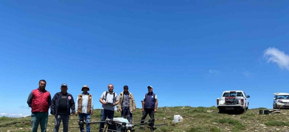 Salihli’de çekirgeye karşı dron ile mücadele