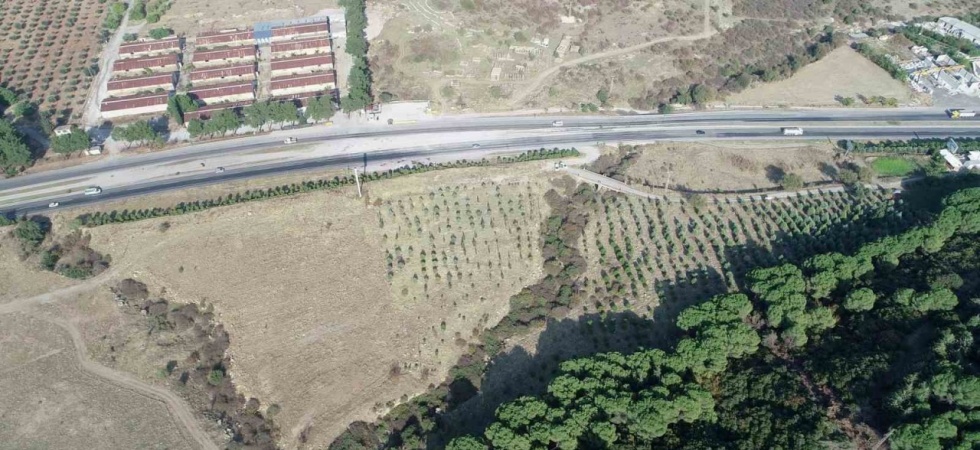 Şehzadeler’e yeni piknik alanı müjdesi