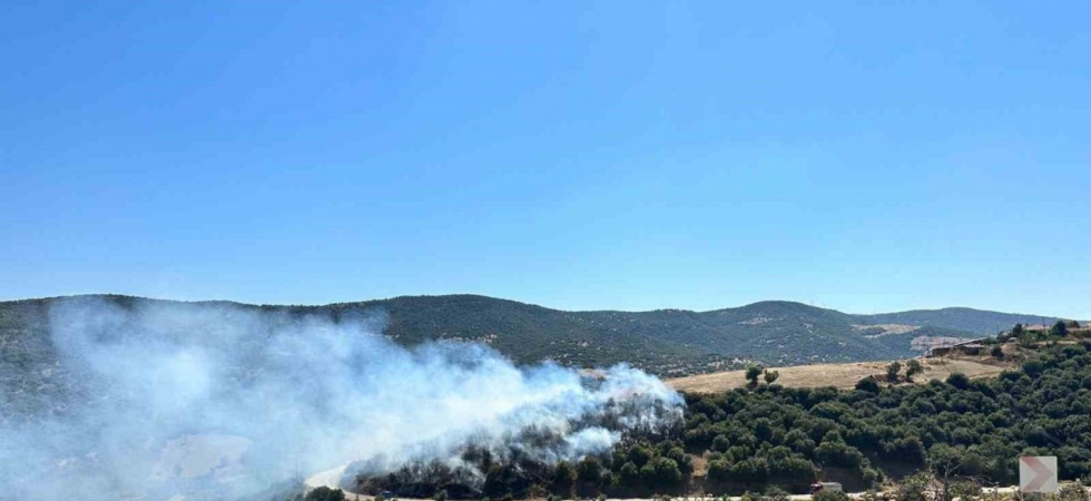Kula’da orman yangını kontrol altına alındı