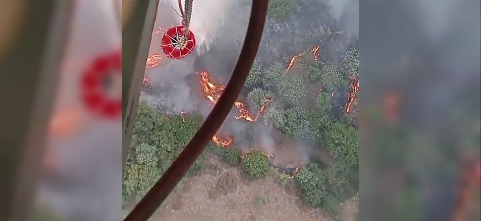 Manisa’da makilik alanda yangın