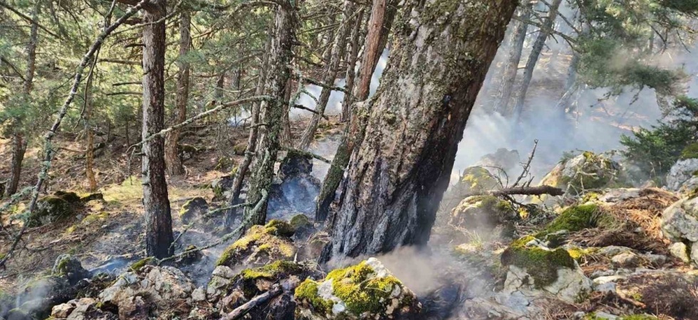 Spil Dağı’na düşen yıldırım orman yangını çıkardı
