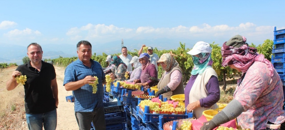 Sultani üzümde ilk ihracat tırları yola çıktı