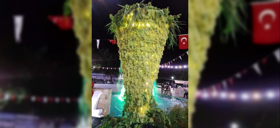 15 Sarıgöl Sultani Üzüm Festivalinde dev üzüm salkımı ilgi gördü