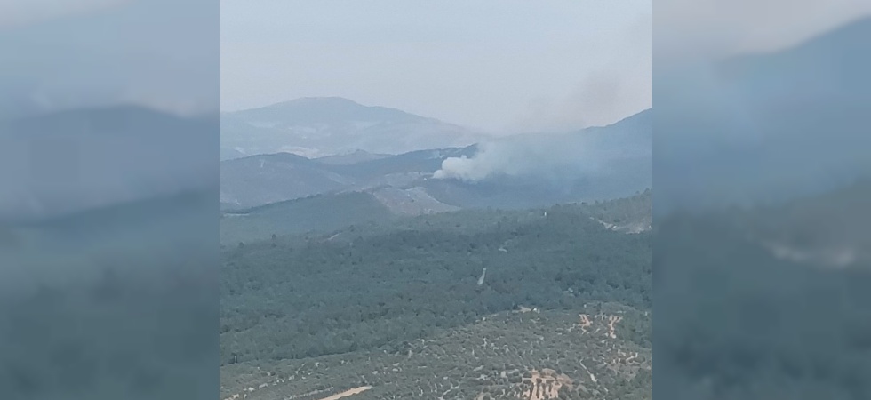 Manisa’da orman yangını