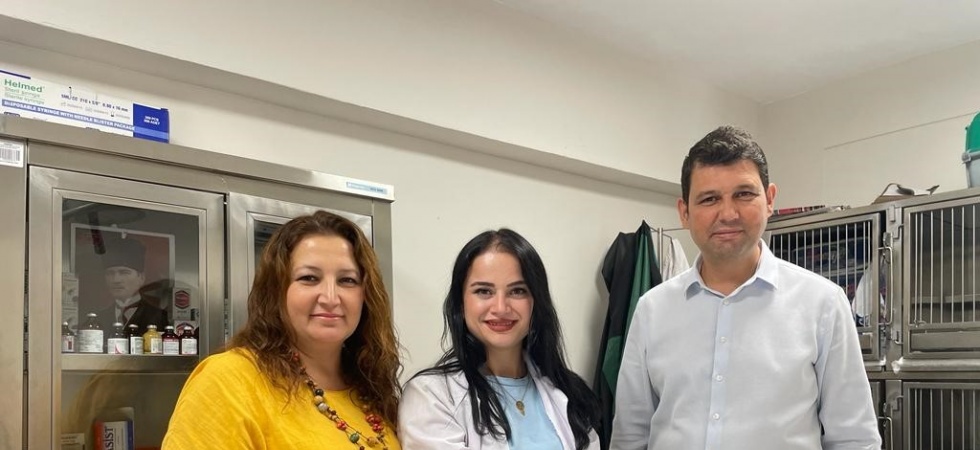 Minik Patiler Kliniği’nde bugüne kadar bin kedi kısırlaştırıldı