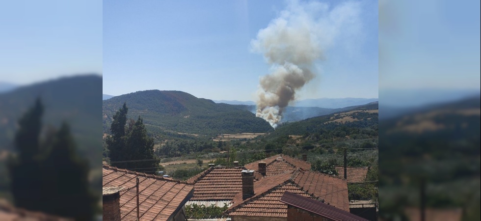Soma’da orman yangını