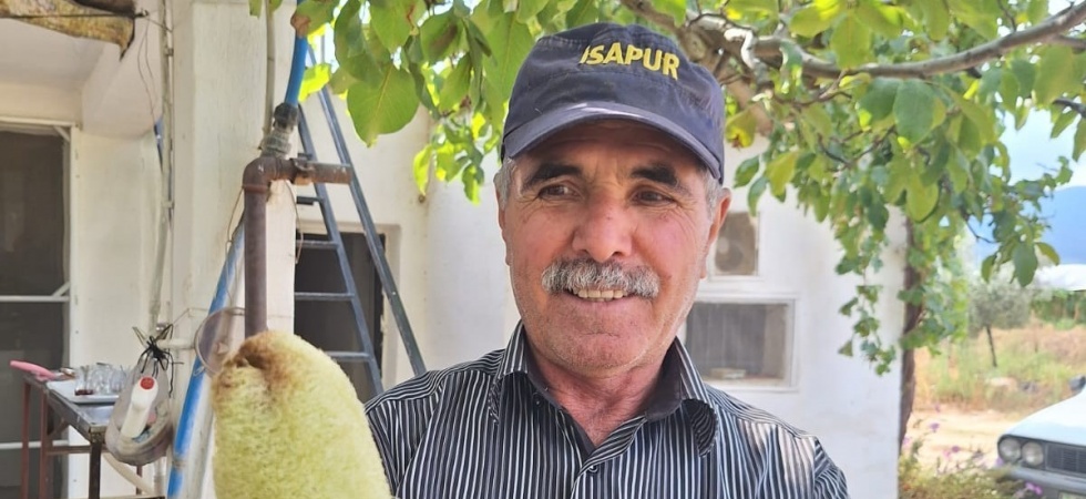 Sarıgöl’de lif kabağı bereketi