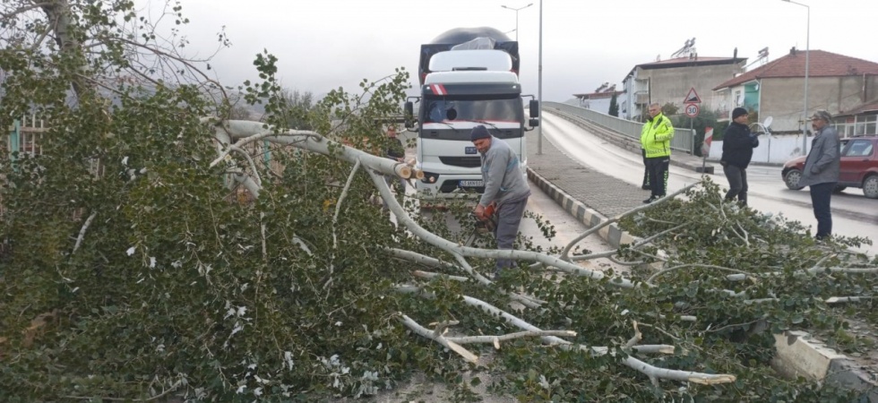 Fırtına Alaşehir’de hayatı olumsuz etkiledi