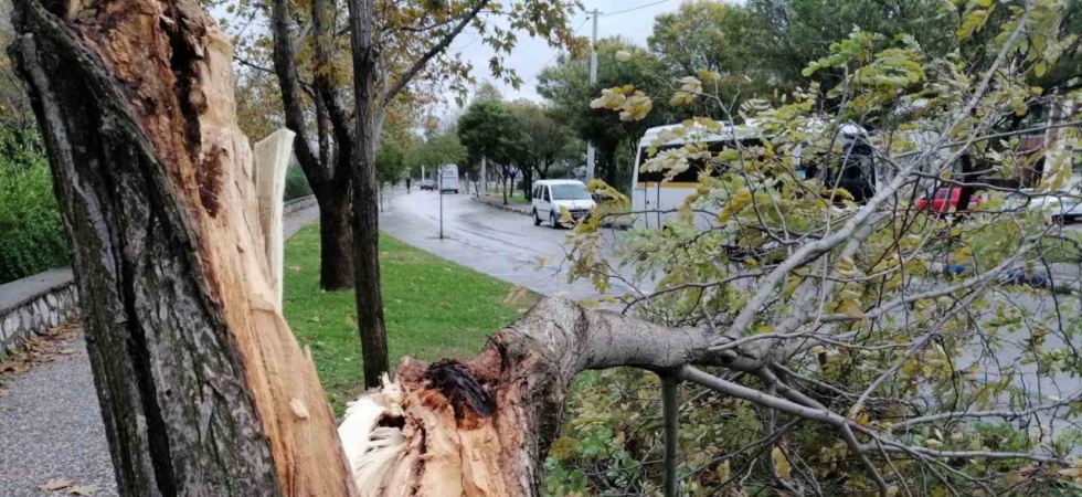 Manisa’da fırtına etkili oluyor