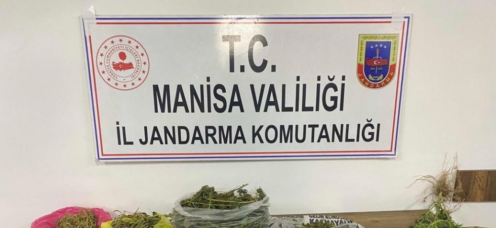 Manisa’da jandarmadan uyuşturucu operasyonu