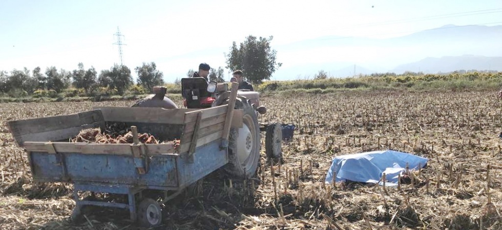 Manisalı çiftçi tarlada ölü bulundu