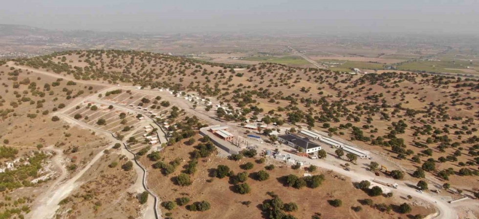 Sokak hayvanları için yapılan projede sona yaklaşılıyor