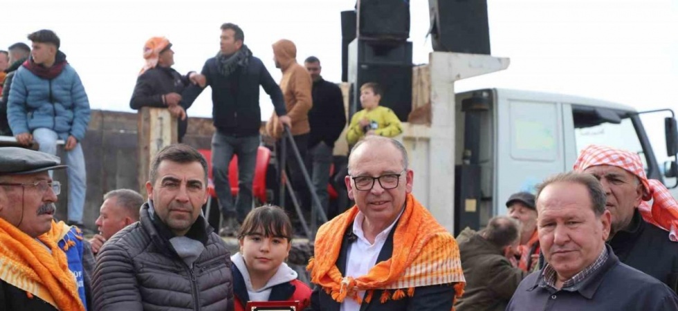 Turgutlu’da Deve Güreşleri nefes kesti