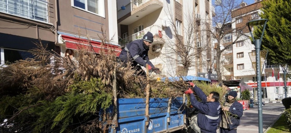 Yunusemre’de budanan ağaçlar ihtiyaç sahiplerinin evlerini ısıtıyor