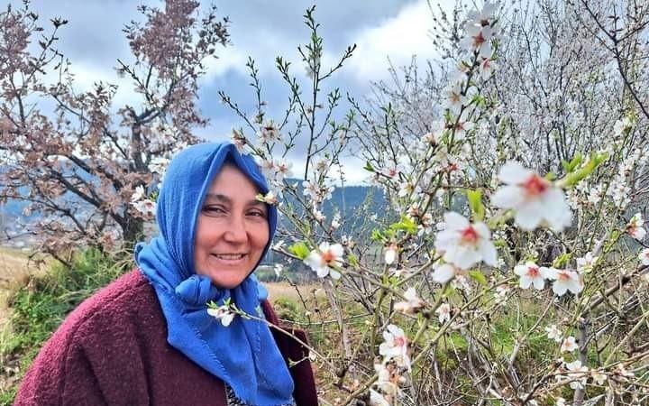 Tüm meyve ağaçları çiçek açtı