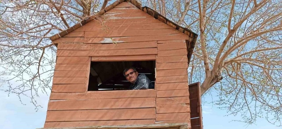 Üzüm bağındaki ağaç kondu ev ilgi odağı oldu