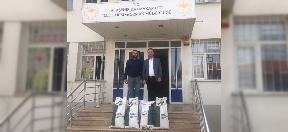 Alaşehir’de sorgum otu yetiştirilmeye başlandı