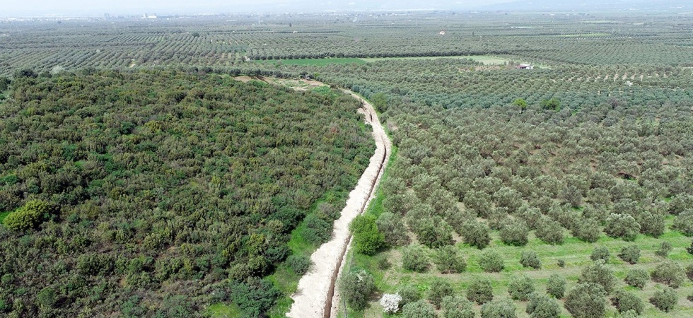 Manisalı çiftçiye Çamönü müjdesi