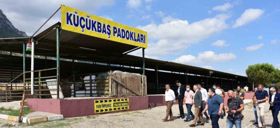 Manisa’nın en büyük ilçesinde kurban pazarı olmayacak