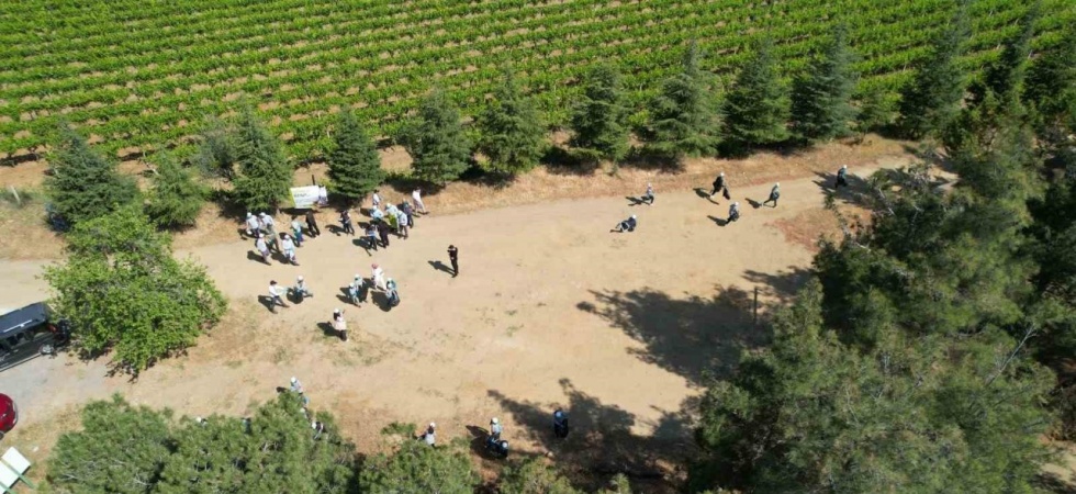 Sarıgöl ormanlarından 3 ton çöp toplandı