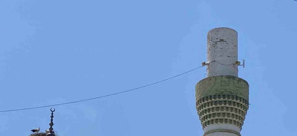 Dolu yağışından kurtulan leylekler mahallelinin tesellisi oldu