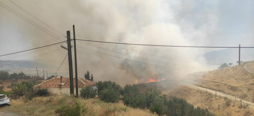 Manisa’da zirai alanda yangın