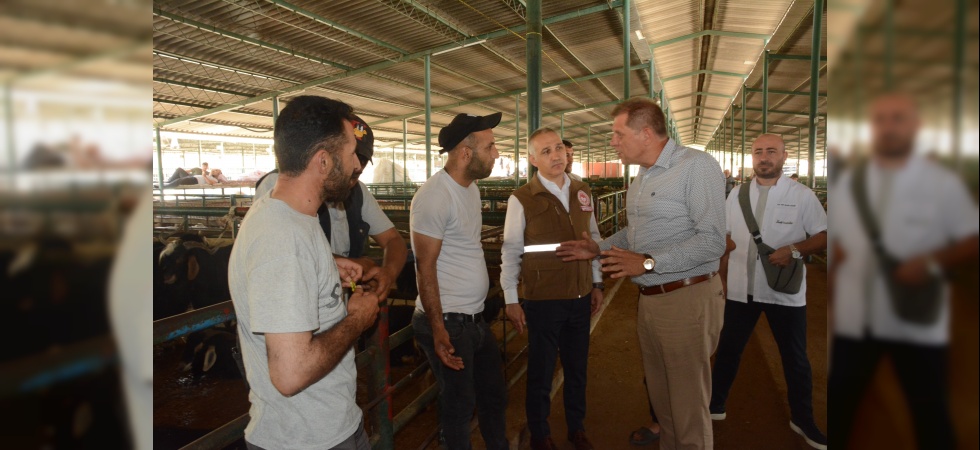Özkasap ve Öztürk Canlı Hayvan Borsası’nda incelemelerde bulundu