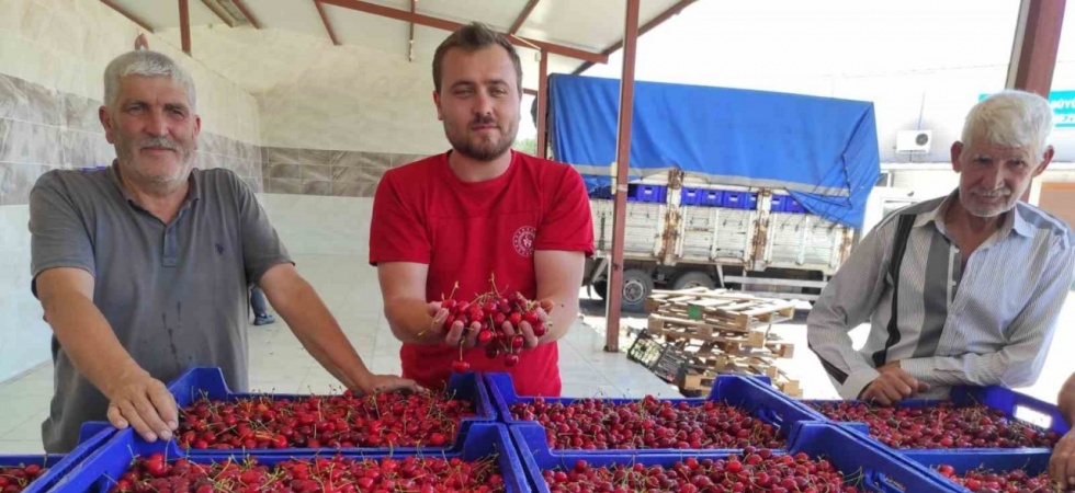 Selendili kiraz üreticileri umduğunu bulamadı