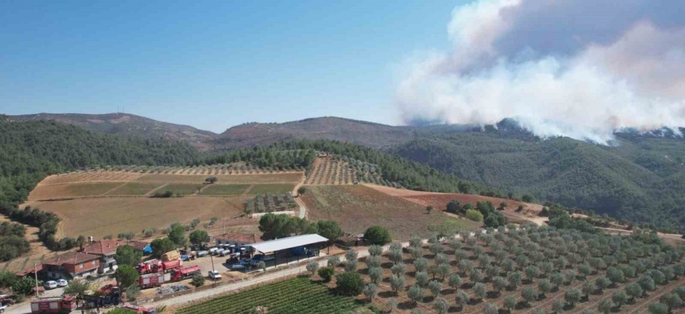 Alevlerin arasında kahramanca mücadele
