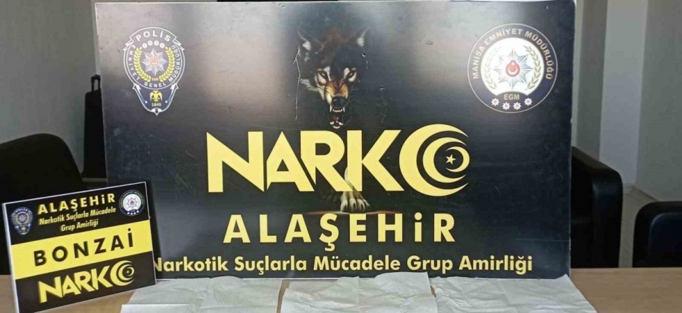 Bonzai emdirilmiş 7 peçete ele geçirildi