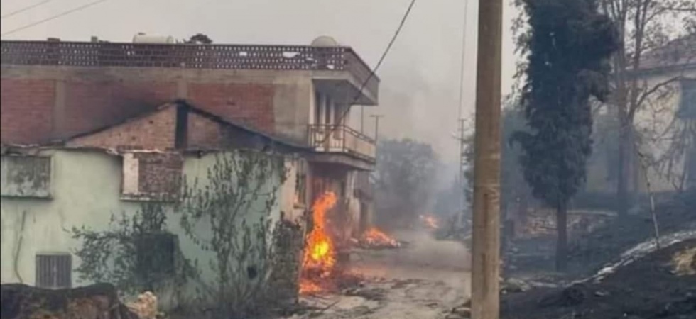 Hayvanları orman yangınında telef olan vatandaşın feryadı yürek dağladı