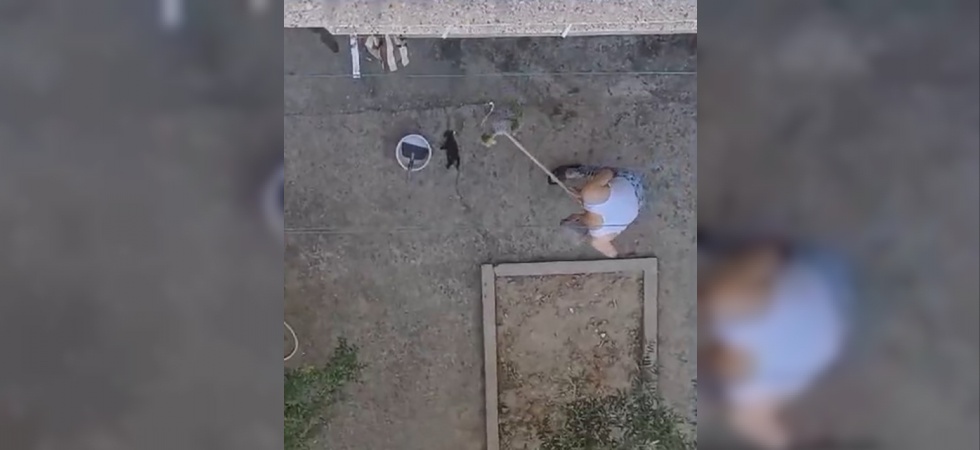 Manisa’da vahşet: 3 yavru kediyi fırça sapıyla öldürdü