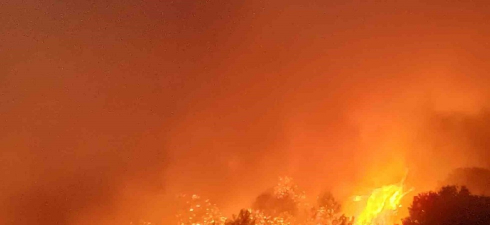 Manisa’daki orman yangını 80’inci saatinde