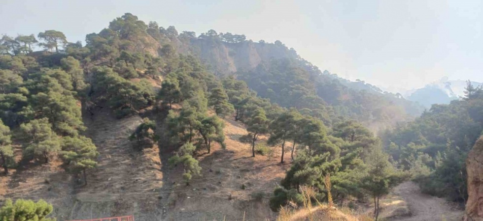 Salihli’deki orman yangını devam ediyor