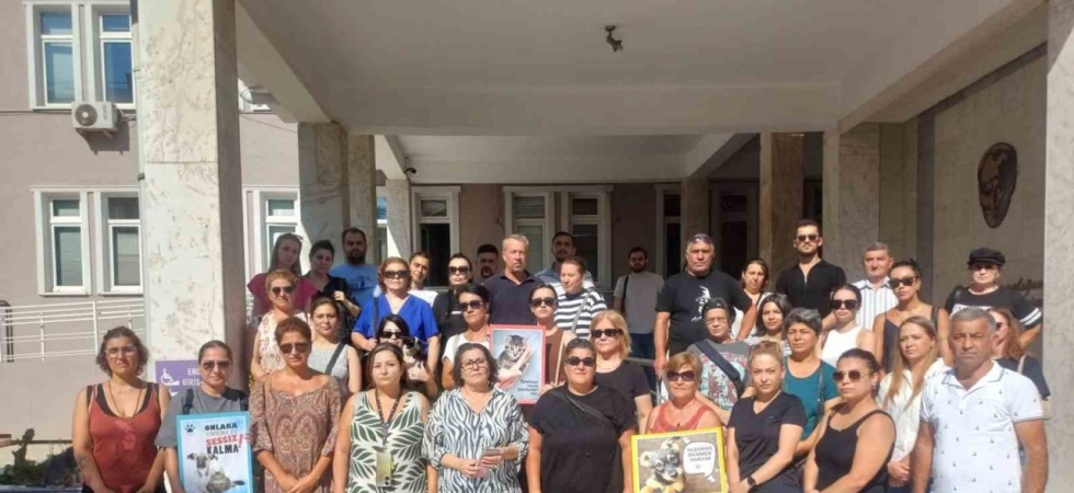 Yavru kedileri süpürge sapıyla öldüren şahıs tutuklandı