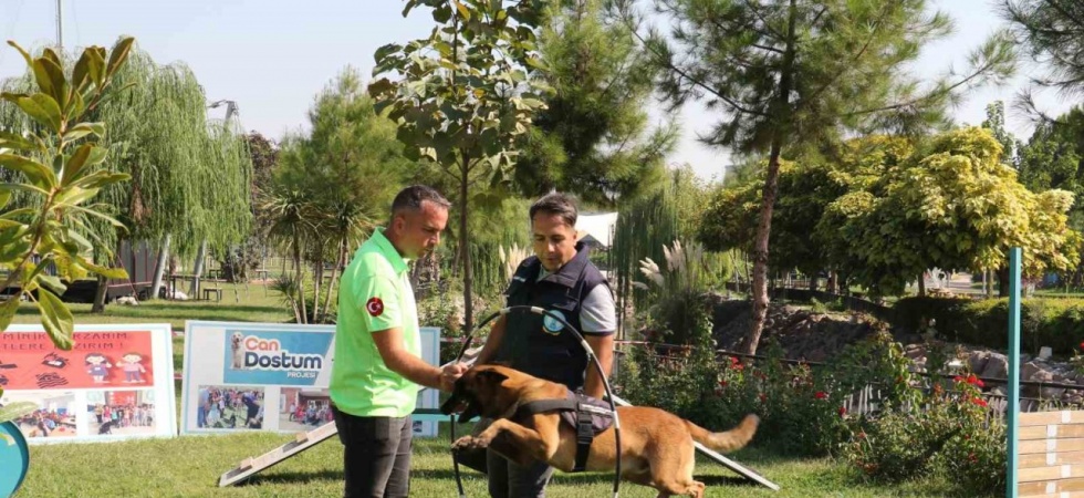 Minik öğrenciler eğitimli köpeklerin gösterisine hayran kaldı
