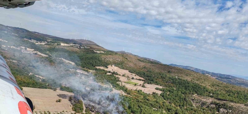 Manisa’da orman yangını