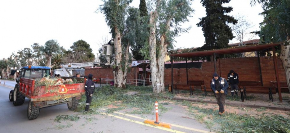 Şehzadeler Belediyesi’nden trafik güvenliği için budama çalışması