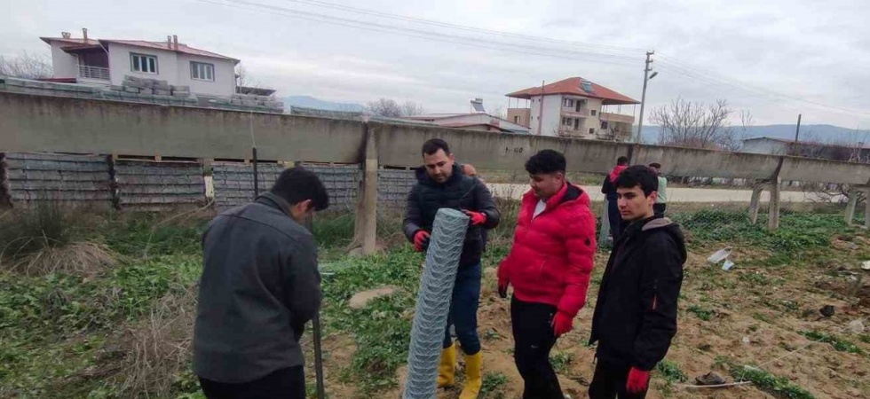 Tarım öğrencileri 200 zeytin fidanı dikti
