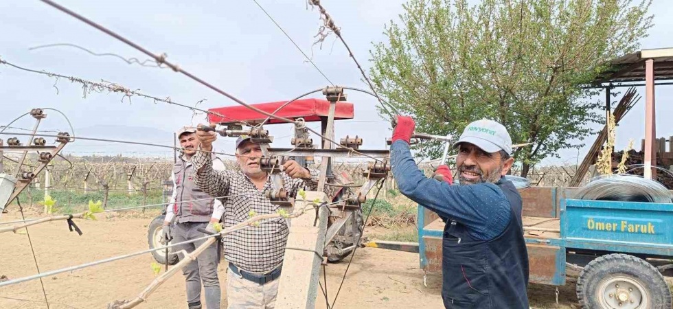 Bağlarda bayram öncesi yoğun çalışma